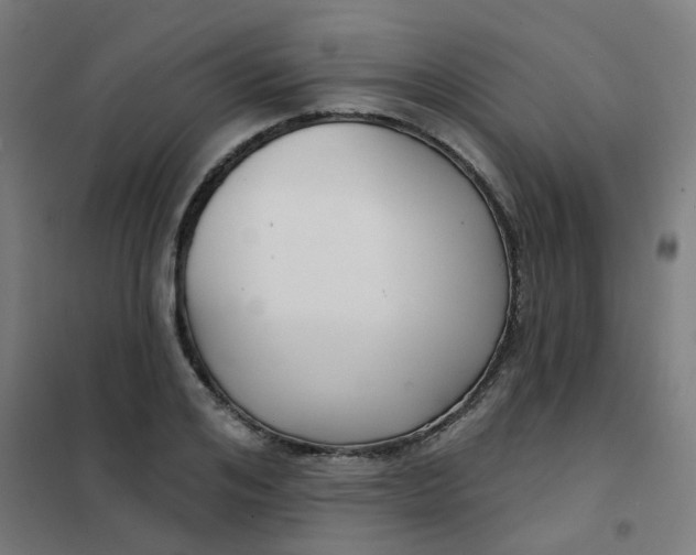 X0000101700984200807241428