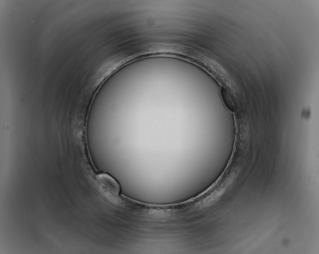 X0000101700985200807241428