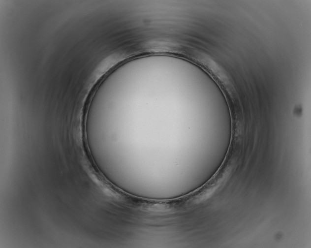 X0000101700986200807241428