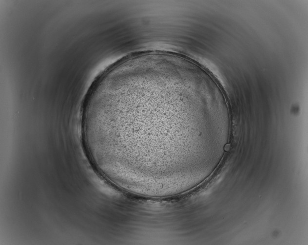 X0000101700987200807241428