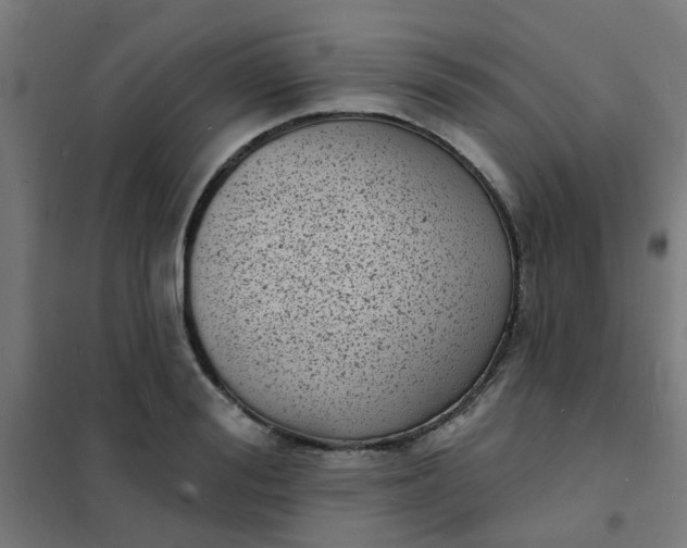 X0000101700988200807241428