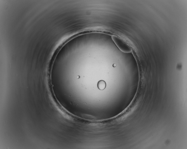 X0000101700989200807241428