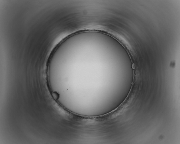 X0000101700990200807241428