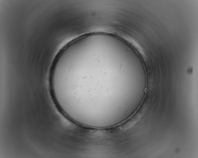 X0000101700991200807241428