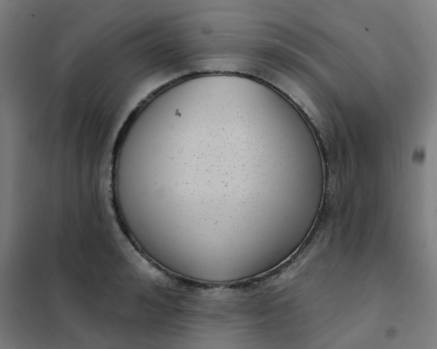 X0000101700992200807241428