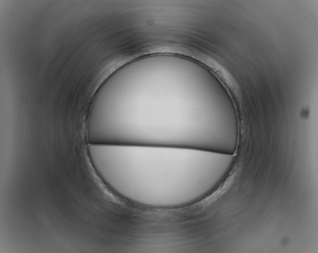 X0000101700993200807241428