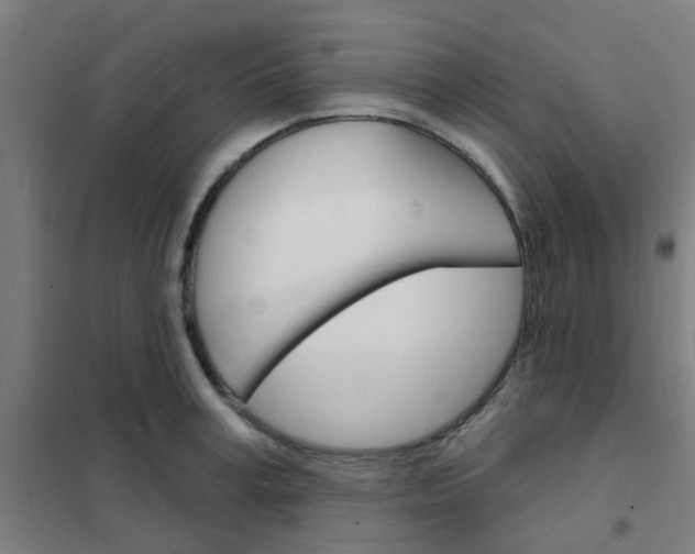 X0000101700995200807241428