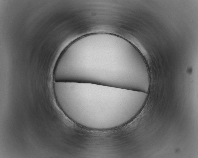 X0000101700996200807241428