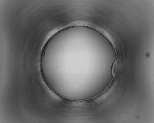 X0000101700997200807241428