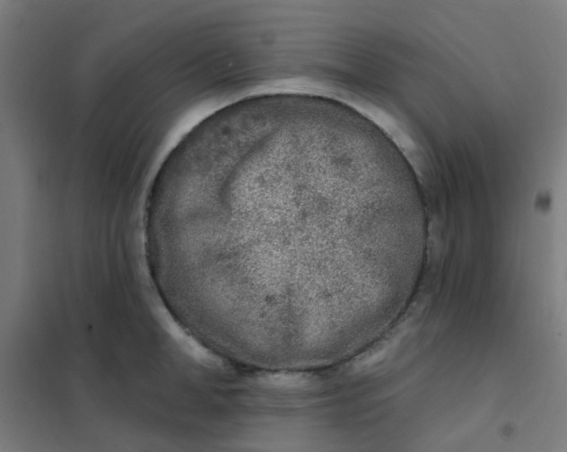 X0000101700998200807241427