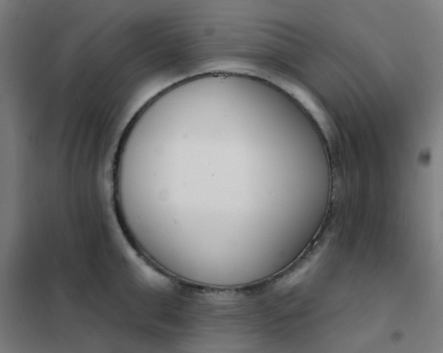 X0000101700999200807241427