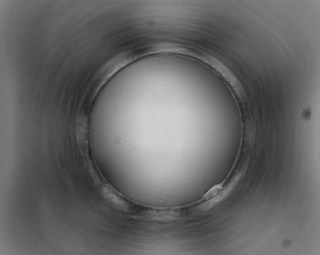 X0000101701001200807241427