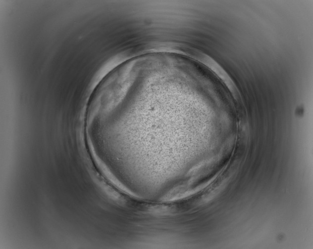 X0000101701002200807241427