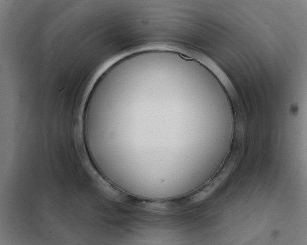 X0000101701004200807241427