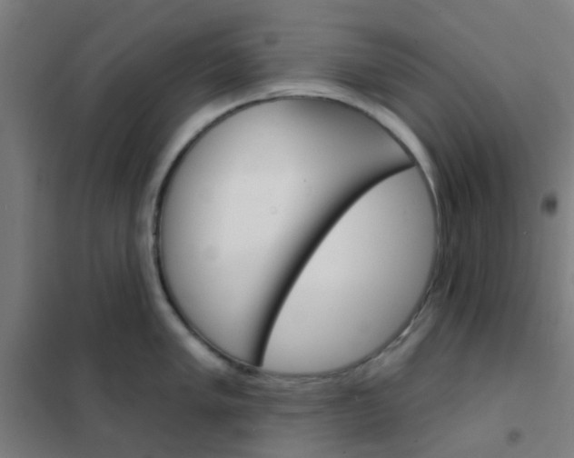 X0000101701005200807241427