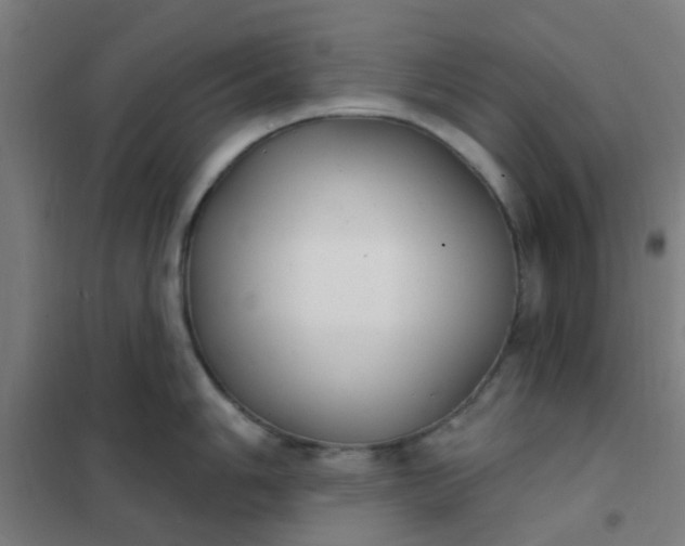 X0000101701006200807241427