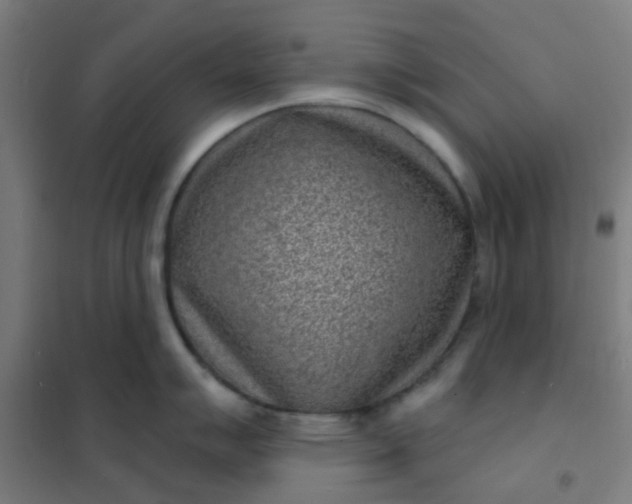 X0000101701007200807241427