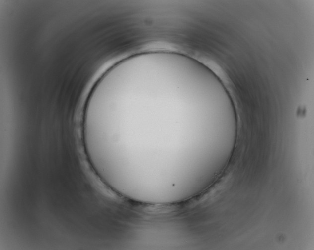 X0000101701008200807241427