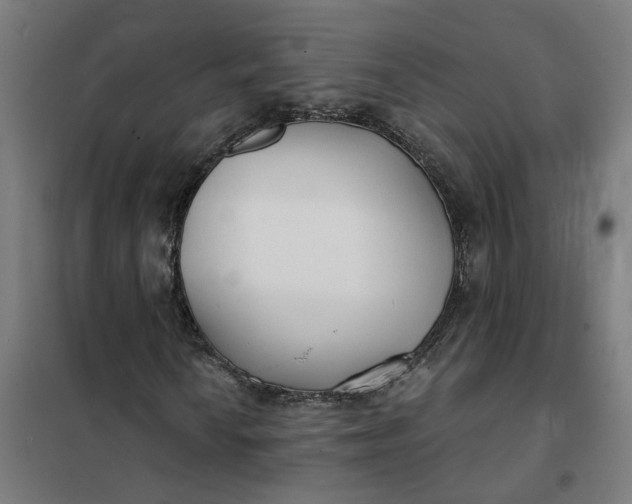 X0000101701010200807241427