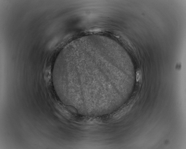 X0000101701011200807241427