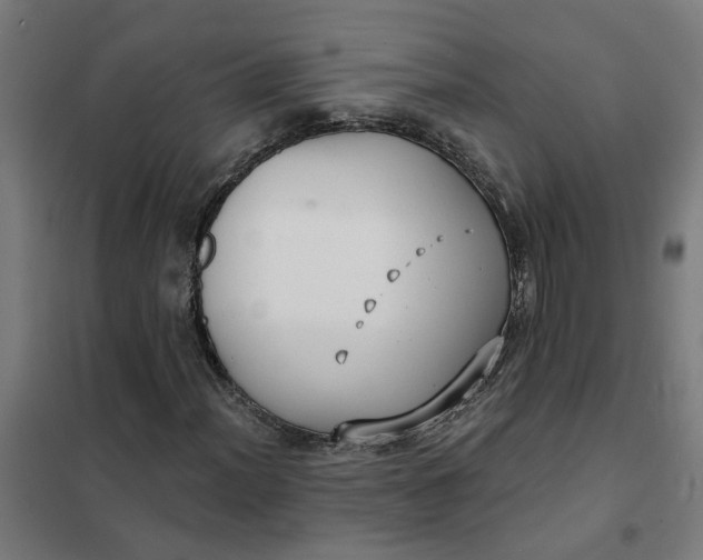 X0000101701012200807241427