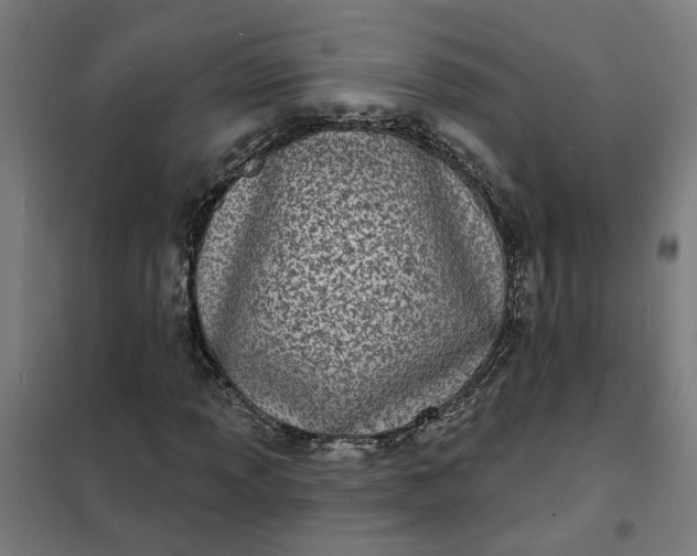 X0000101701013200807241427