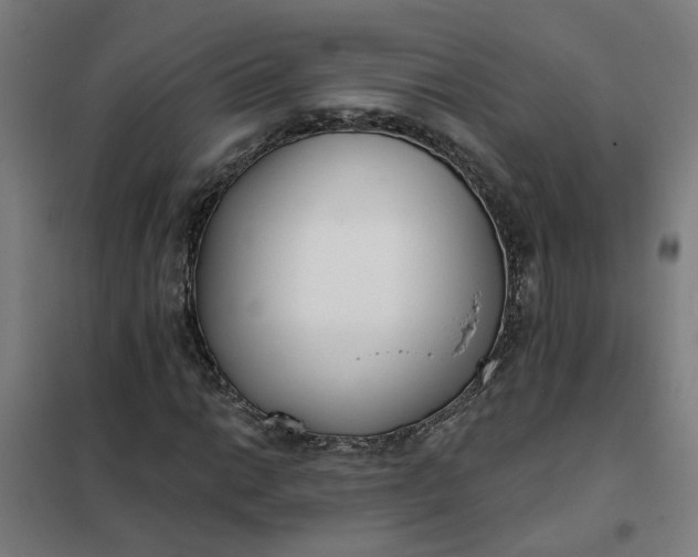 X0000101701014200807241427