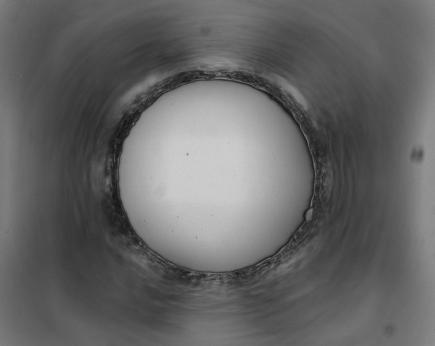 X0000101701016200807241427