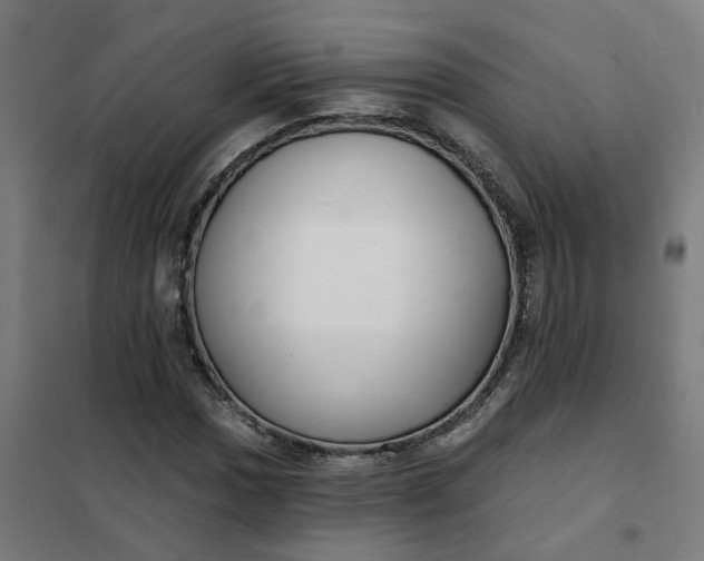 X0000101701017200807241427