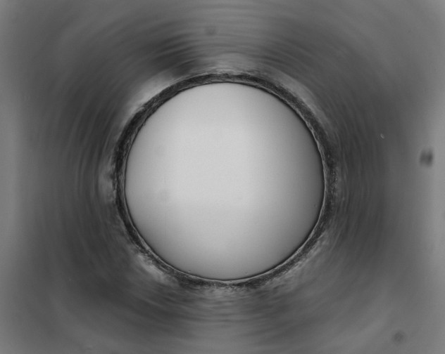 X0000101701018200807241427