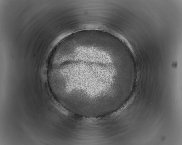 X0000101701019200807241427