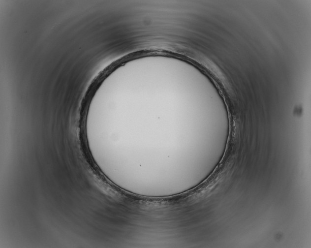 X0000101701020200807241427