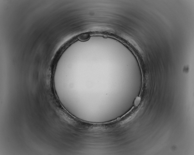 X0000101701021200807241427