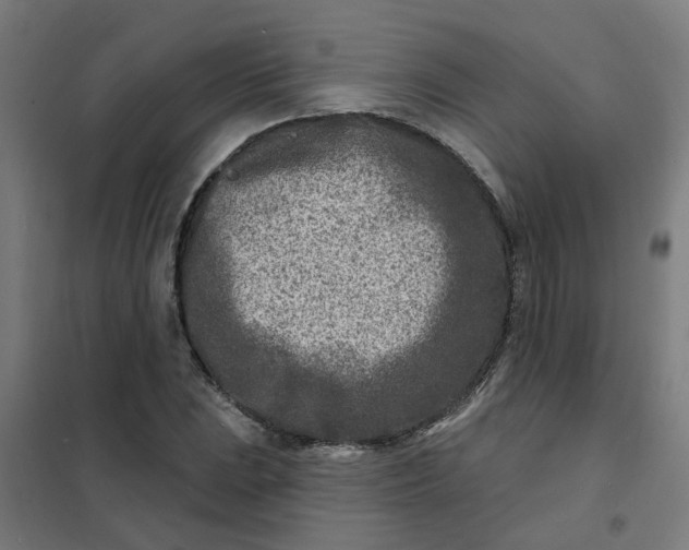 X0000101701023200807241427