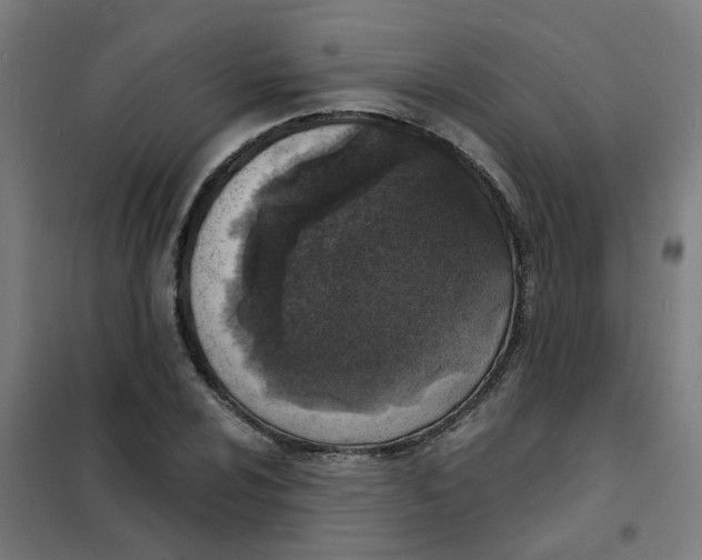 X0000101701024200807241427