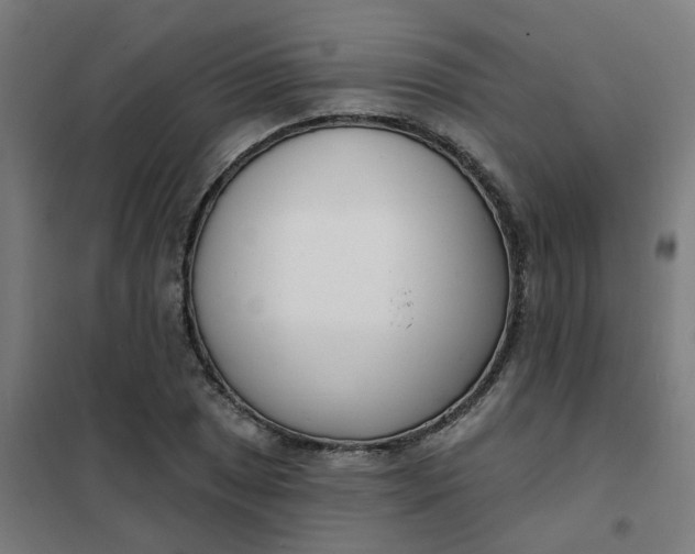 X0000101701025200807241427