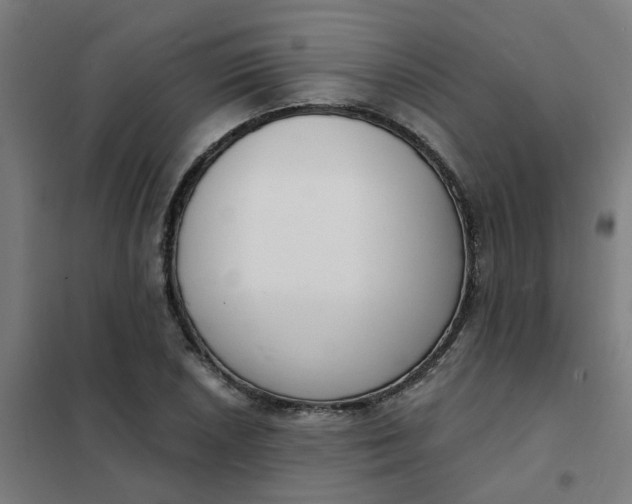 X0000101701026200807241427