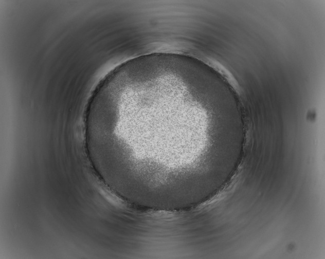 X0000101701027200807241427