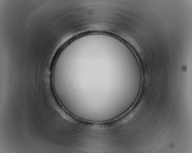 X0000101701029200807241427