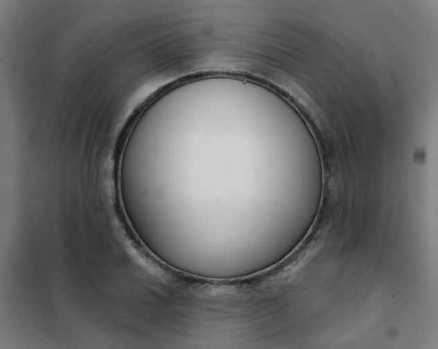 X0000101701030200807241427