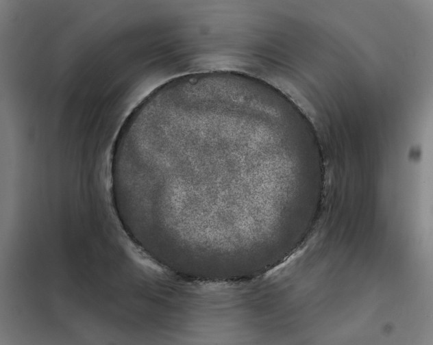 X0000101701031200807241427