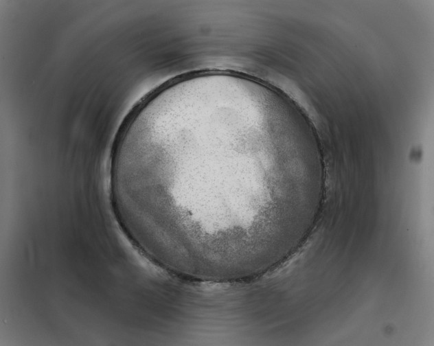 X0000101701032200807241427