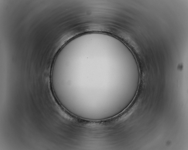 X0000101701033200807241427