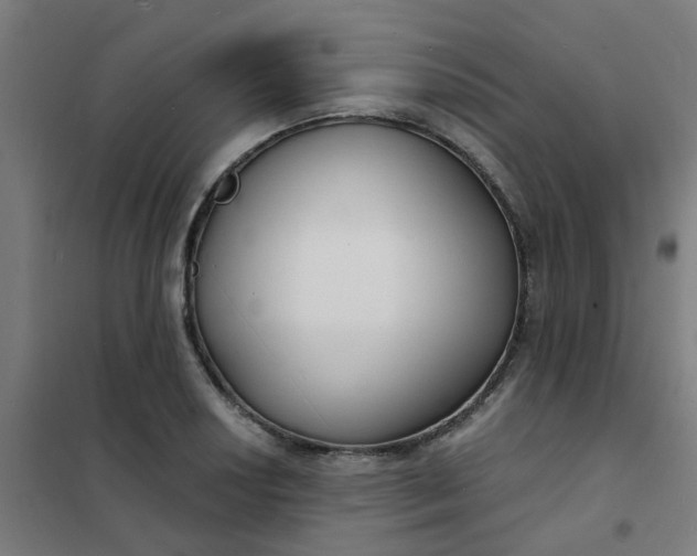 X0000101701034200807241427