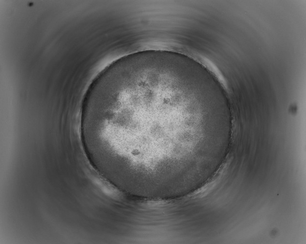 X0000101701035200807241427