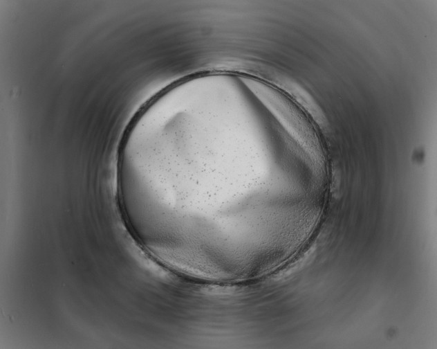 X0000101701036200807241427