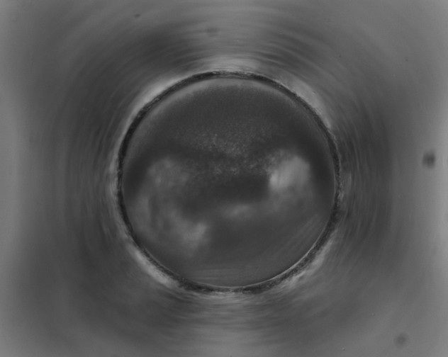 X0000101701037200807241427