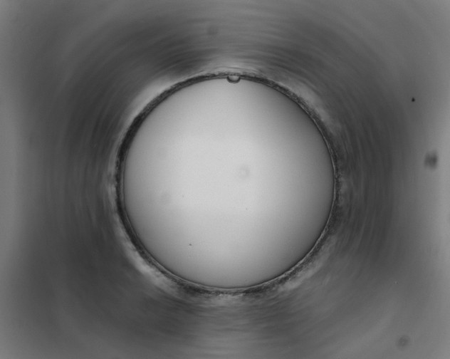 X0000101701038200807241427