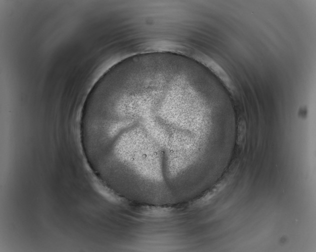 X0000101701039200807241427