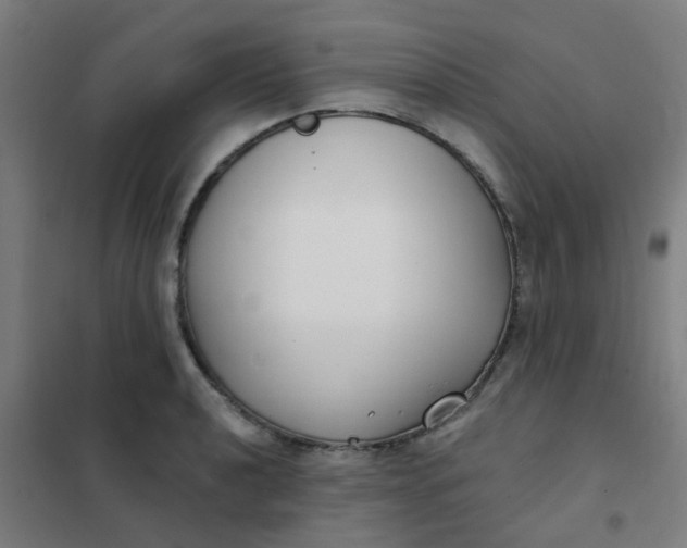 X0000101701040200807241427